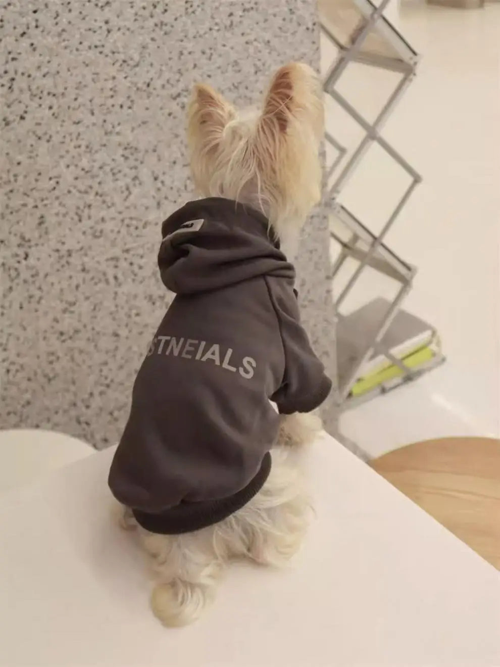 Pet Hoodie for Small Dogs β Warm Wool-Lined Sweatshirt for Autumn & Winter | Teddy, Schnauzer, Yorkshire