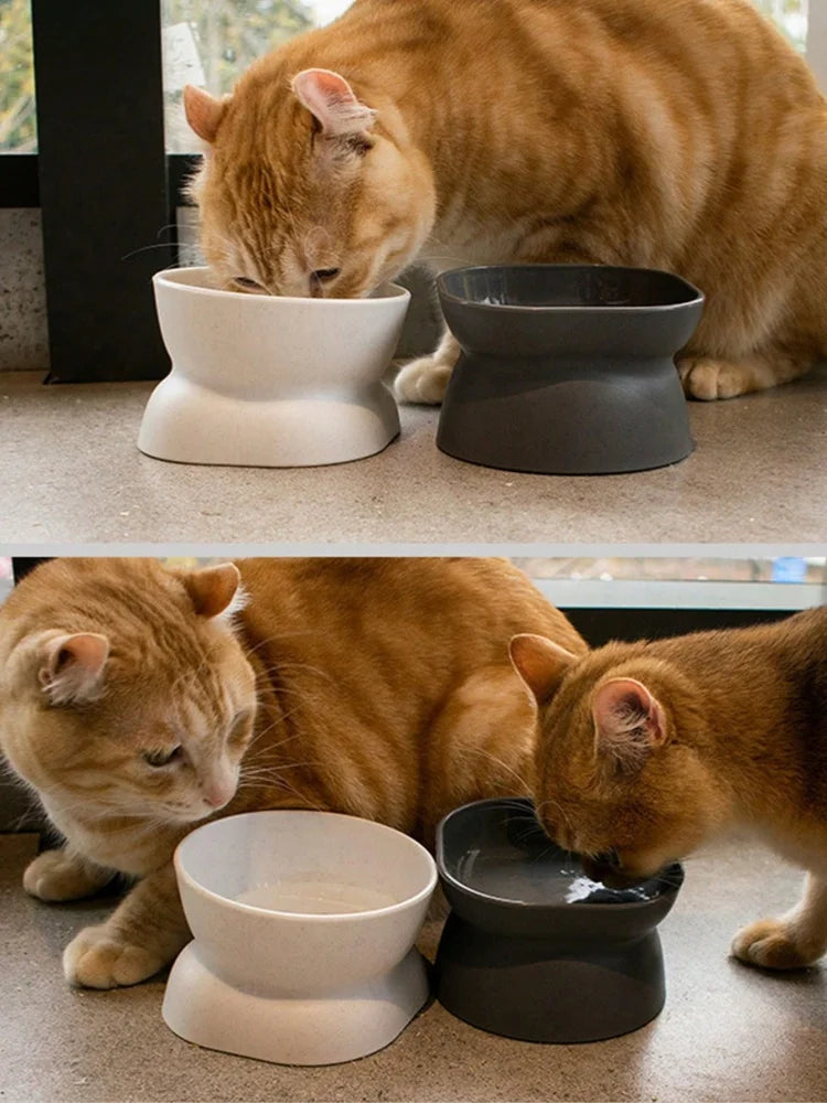 Comedero y bebedero para mascotas: comedero de plástico resistente para gatos y perros pequeños