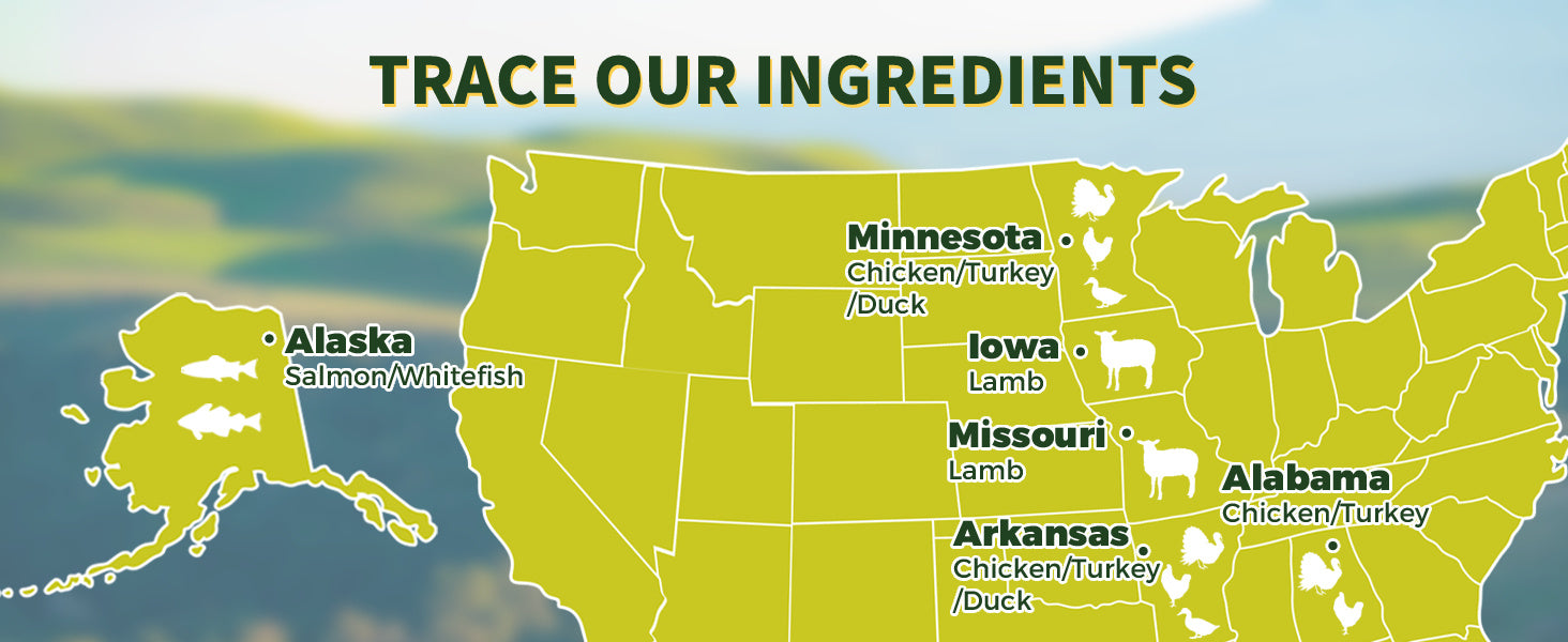 2 packs Freeze Dried Raw Dog Food Salmon and Cod Recipe 16 Ounce, USA Made Grain Free High Protein Dog Food for Complete Meal or Food Topper, Freeze Dried Raw Diet for Skin & Coat Vitalize