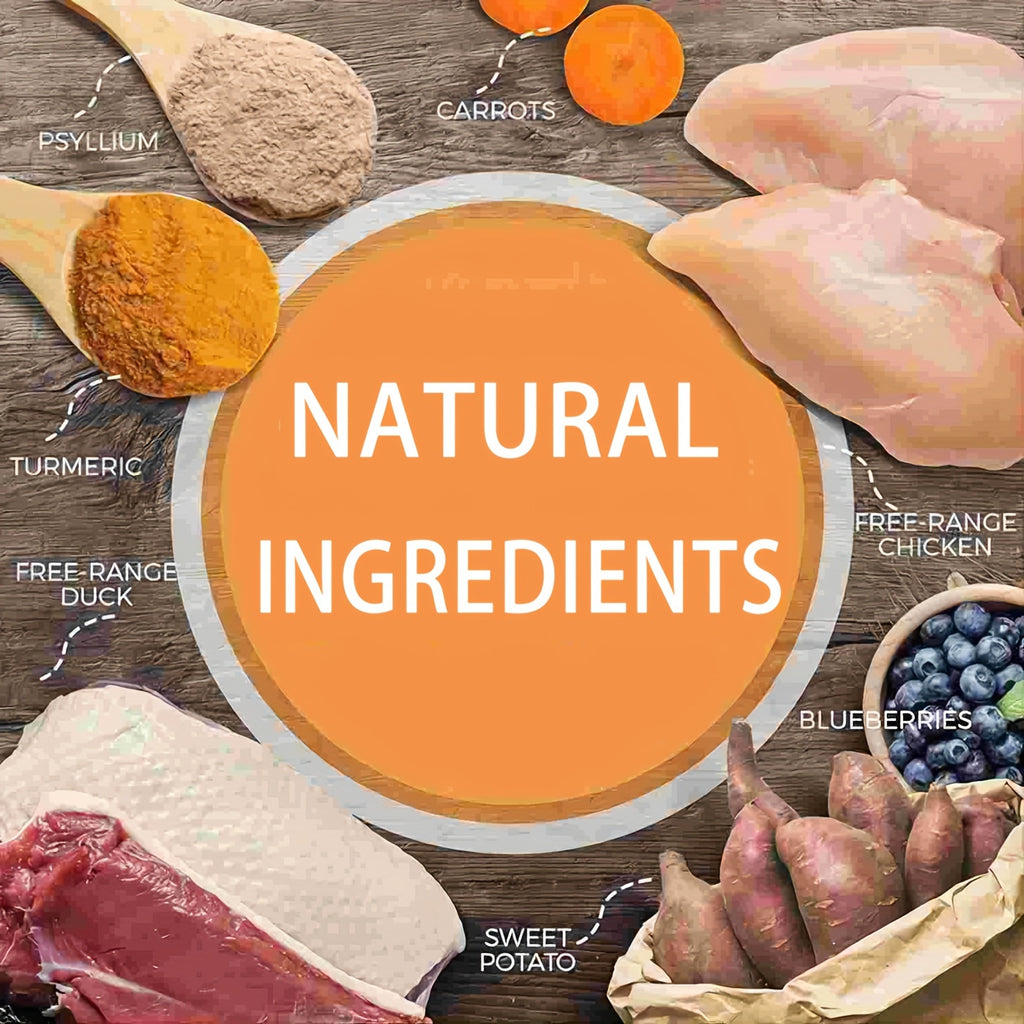 2 packs Freeze Dried Raw Dog Food Salmon and Cod Recipe 16 Ounce, USA Made Grain Free High Protein Dog Food for Complete Meal or Food Topper, Freeze Dried Raw Diet for Skin & Coat Vitalize