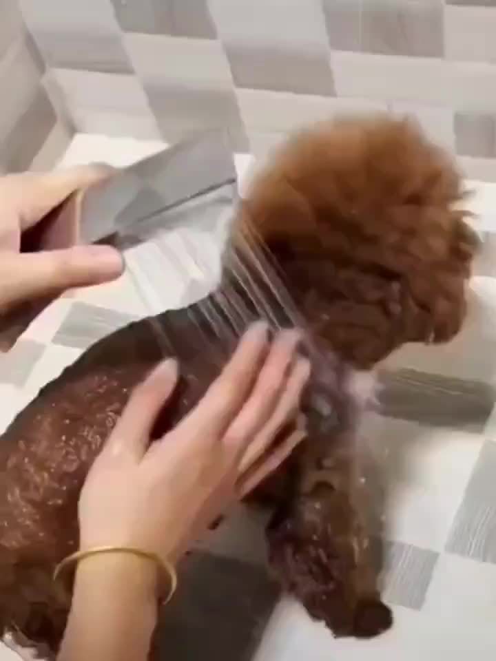 Person using 2-in-1 Silicone Pet Bath Gloves & Brush Set 2pcs on a dog, providing gentle grooming and de-shedding.
