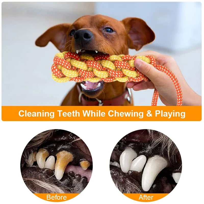 Dog Toy Interactive Chewing Rope Ball Toys Set Natural Cotton Washable Durable Tug of War for Small Medium Dogs Pet Supplies