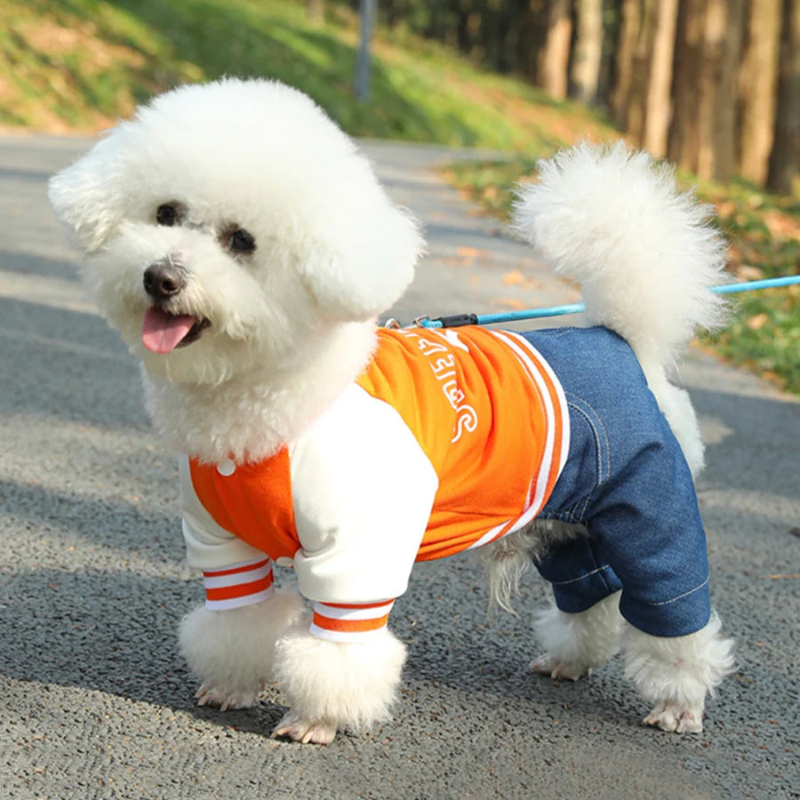 Dog College Jacket with 4-Leg Denim Design