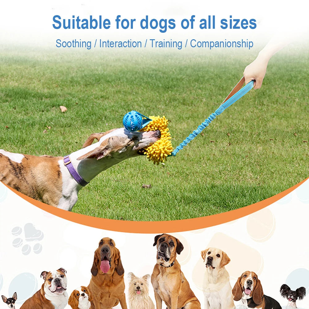 Colorful Bite Rope Wear-resistant Rope Tug Toy for Medium/Large Dogs -Toy with Durable Interactive Hidden Food Toy