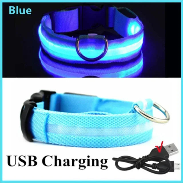 Dog Collar With LED Glowing Adjustable Flashing Rechargea Luminous Collar Night Anti-Lost Dog Light Harness for Small Dog