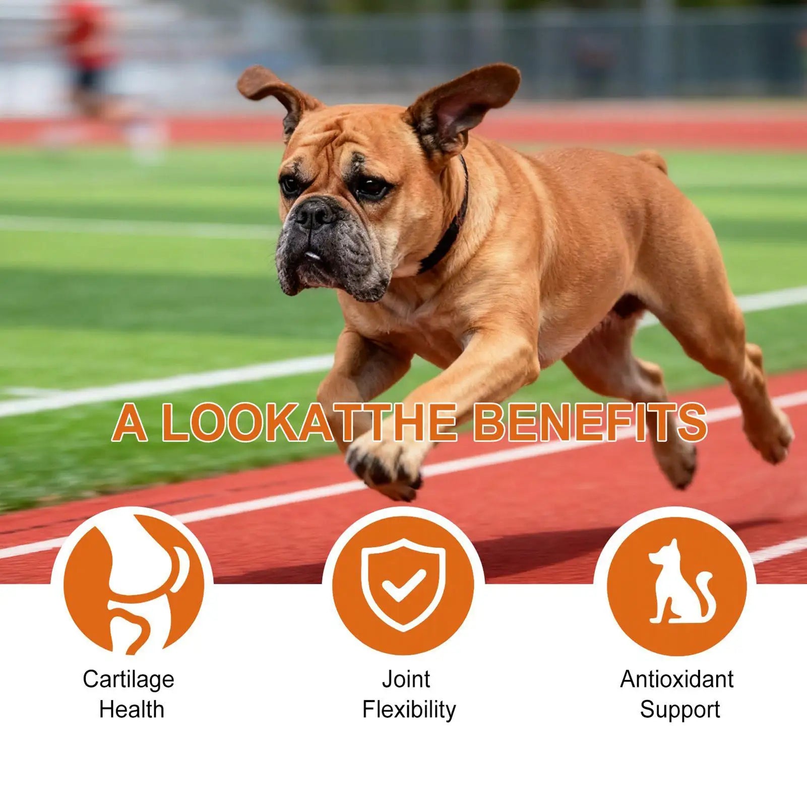 Dog Joint Supplement Chewable Pill Nutrient Pet 100-piece Joint Health For Dogs For Home Travel Daily Care Digestive Absorption