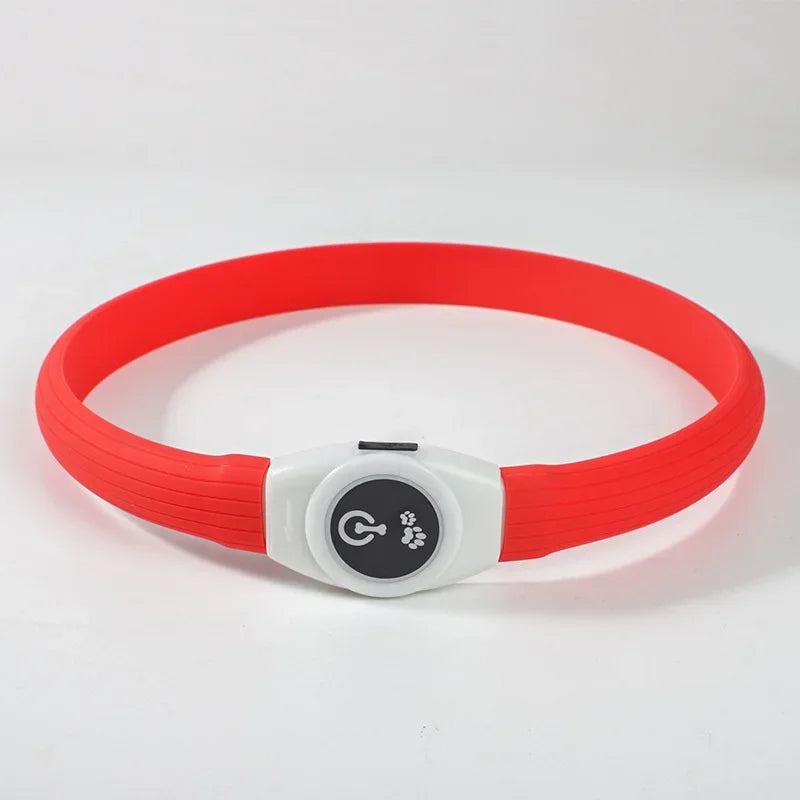 Waterproof LED Luminous USB Dog Collar with bright LED light and easy-to-use switch.