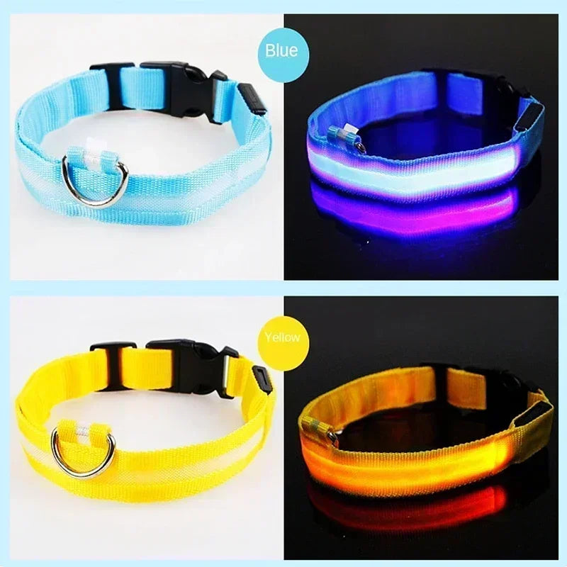 Dog Collar With LED Glowing Adjustable Flashing Rechargea Luminous Collar Night Anti-Lost Dog Light Harness for Small Dog