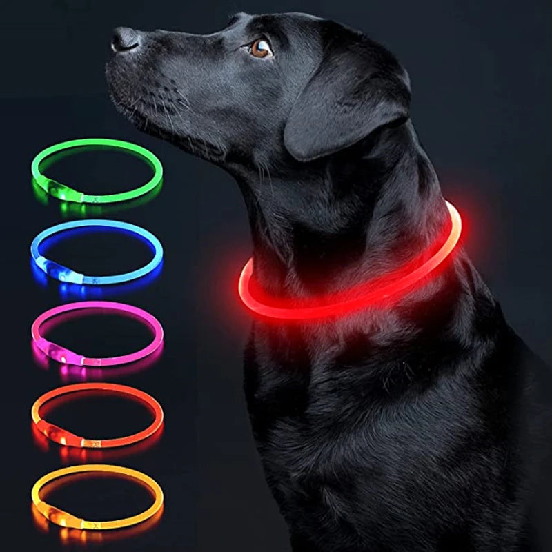 USB Rechargeable LED Luminous Pet Collar in multiple colors worn by a black dog for night visibility.
