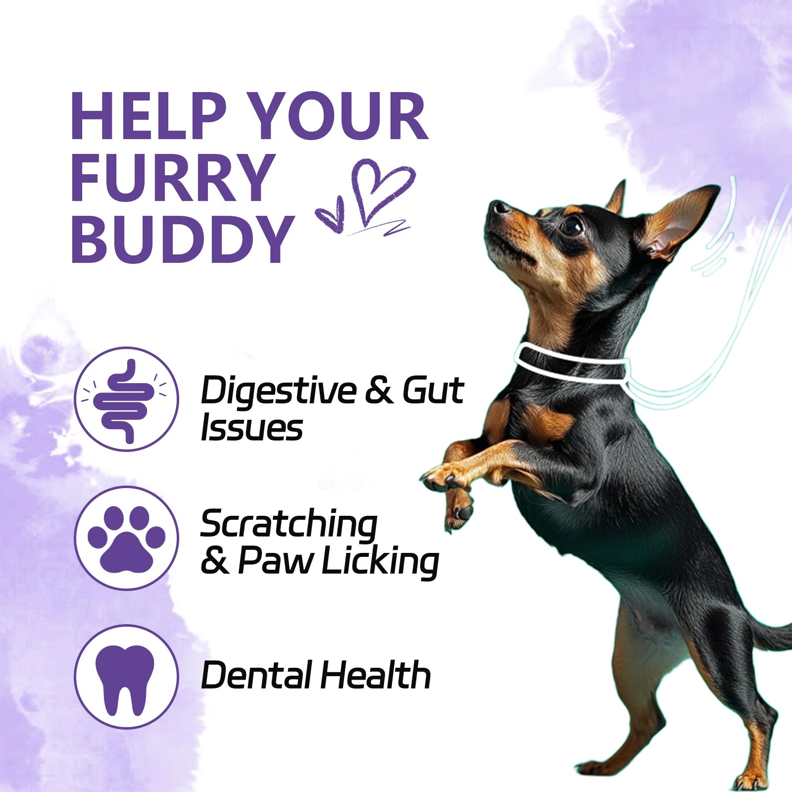 NUTRIDOG Dog Calming Supplement Chews Supports Gut Health Digestive Balance Seasonal Allergy Relief Itchy Skin Relief 120 PCS/Bo