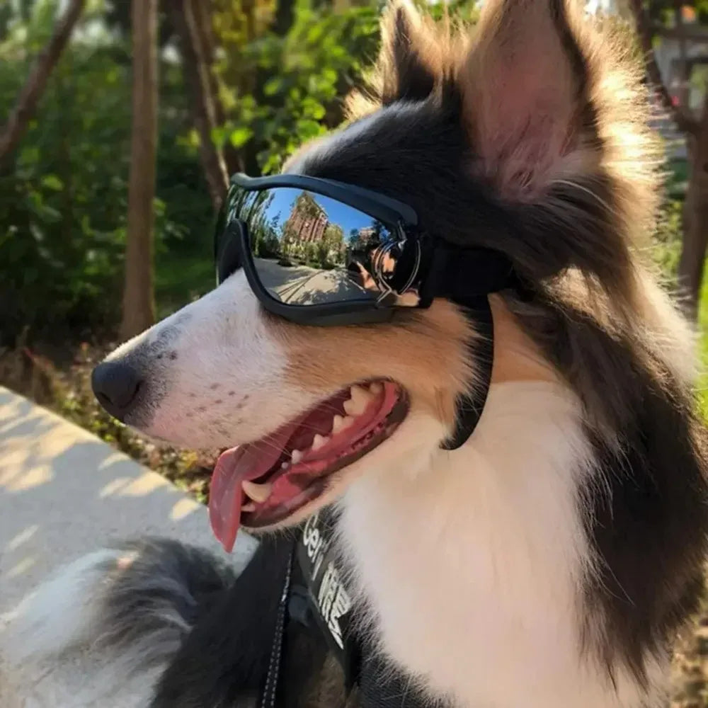 Dog UV Protection Sunglasses for Outdoors
