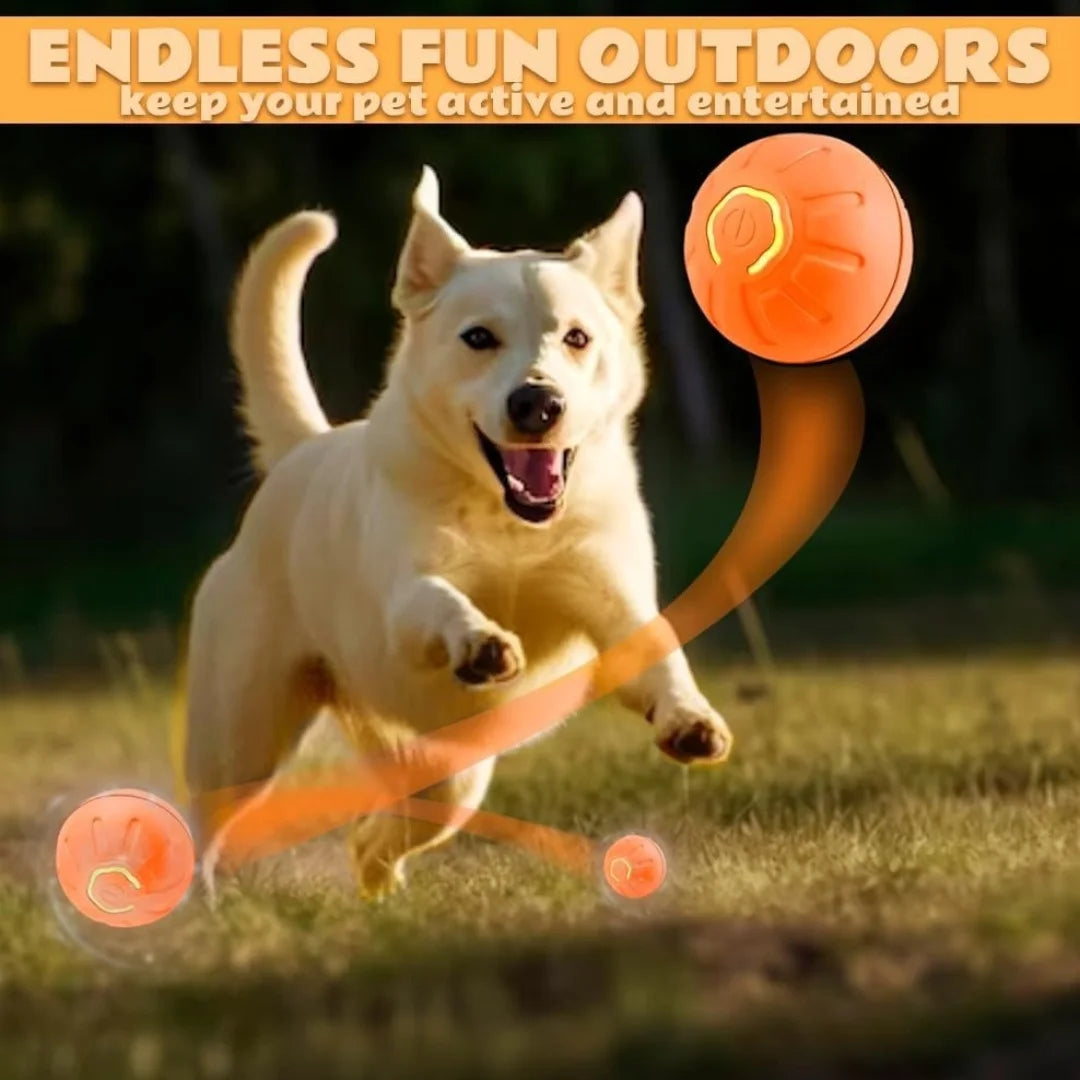 Smart Motion Bouncing Ball for Dogs & Cats