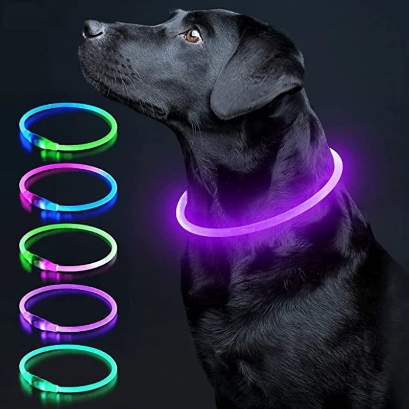 USB Rechargeable LED Luminous Pet Collar displayed on a black dog, featuring colorful glowing rings for visibility.