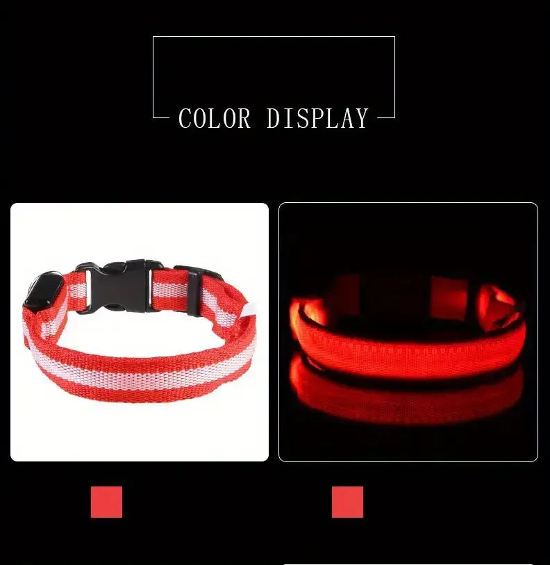 LED Safety Collar For Small And Medium Dogs - Adjustable, Flashing Glow For Night Walking