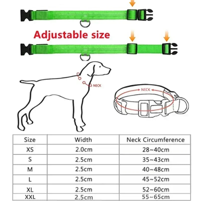 Dog Collar With LED Glowing Adjustable Flashing Rechargea Luminous Collar Night Anti-Lost Dog Light Harness for Small Dog