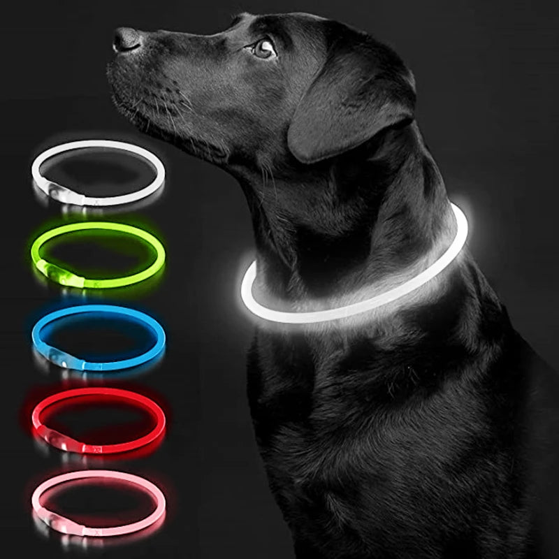 USB Rechargeable LED Luminous Pet Collar on a black dog, showcasing various colors for nighttime visibility.