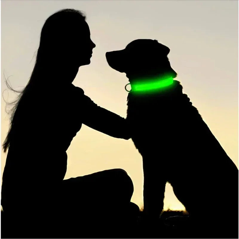 Dog Collar With LED Glowing Adjustable Flashing Rechargea Luminous Collar Night Anti-Lost Dog Light Harness for Small Dog