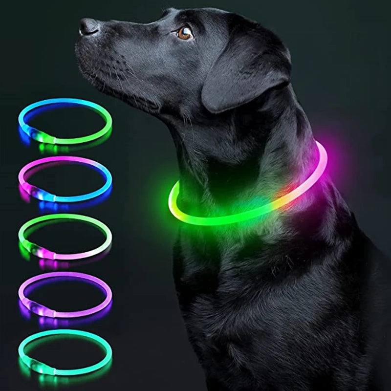 USB Rechargeable LED Luminous Pet Collar glowing on a black dog, surrounded by colorful LED collars.