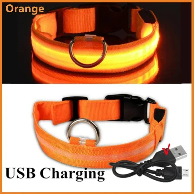 Dog Collar With LED Glowing Adjustable Flashing Rechargea Luminous Collar Night Anti-Lost Dog Light Harness for Small Dog