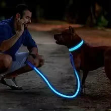 Dog Collar With LED Glowing Adjustable Flashing Rechargea Luminous Collar Night Anti-Lost Dog Light Harness for Small Dog
