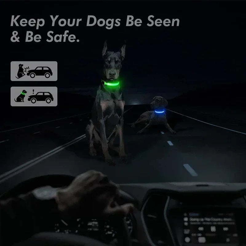 Dog Collar With LED Glowing Adjustable Flashing Rechargea Luminous Collar Night Anti-Lost Dog Light Harness for Small Dog