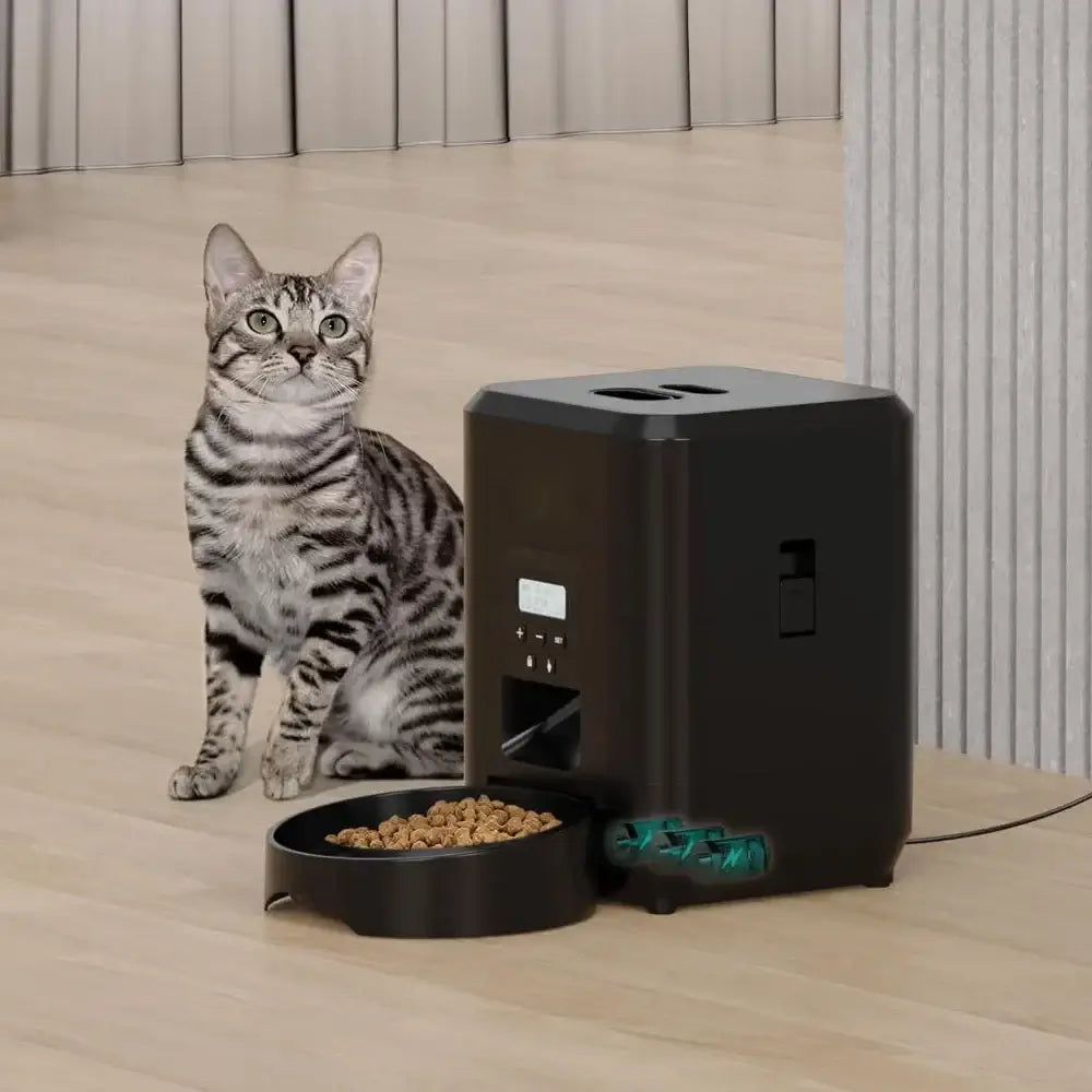 Smart Automatic Pet Feeder with Programmable Food Timer next to a cat and food bowl for easy meal management.