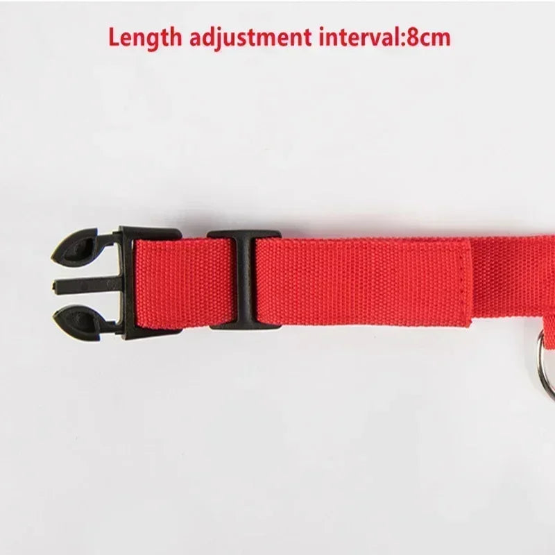 Dog Collar With LED Glowing Adjustable Flashing Rechargea Luminous Collar Night Anti-Lost Dog Light Harness for Small Dog