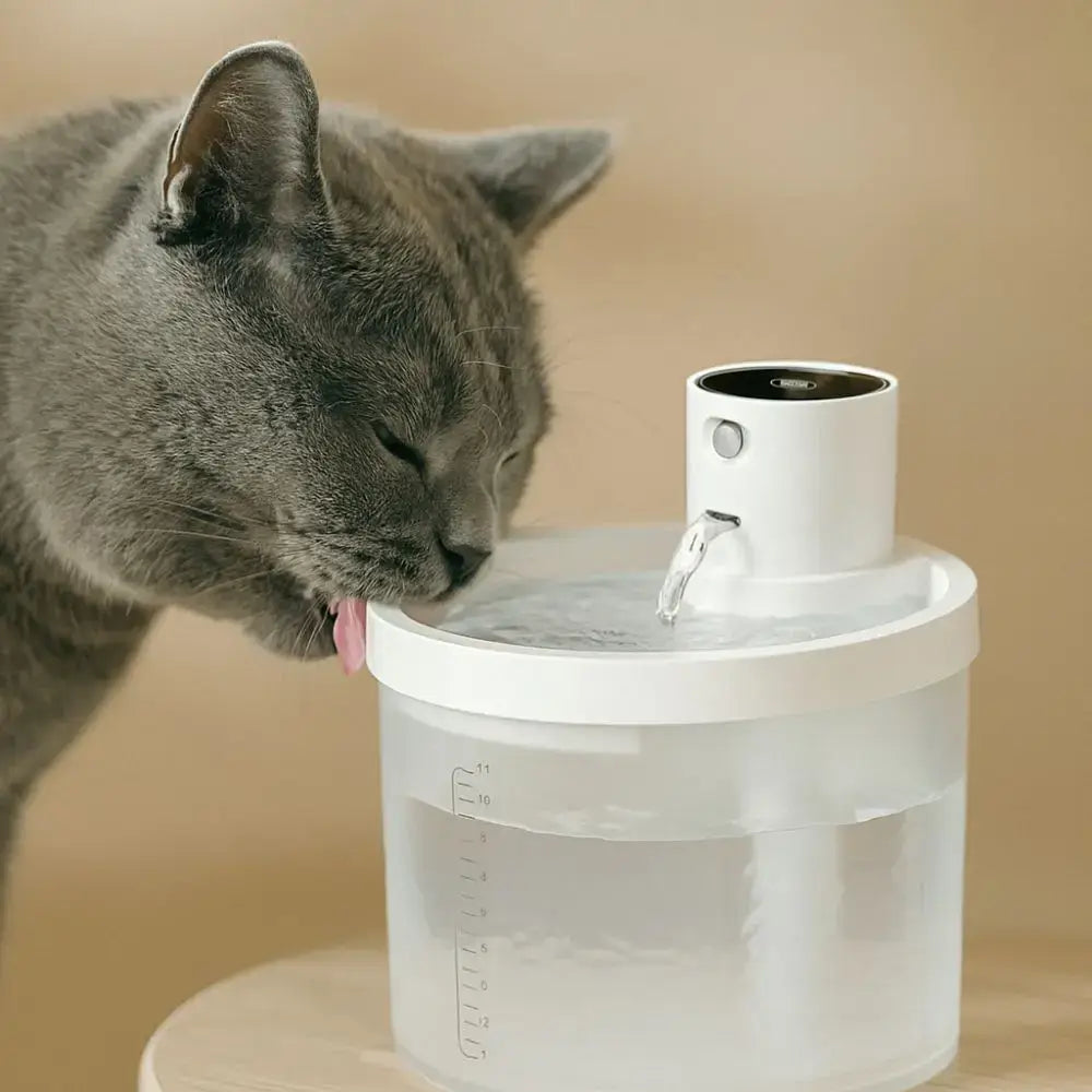 Cat drinking from Ultra-Quiet 2.2L Automatic Pet Water Fountain with fresh water.