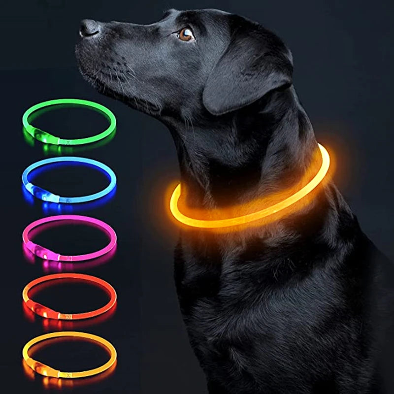 USB Rechargeable LED Luminous Pet Collar displayed on a black dog, showcasing bright LED colors for visibility.
