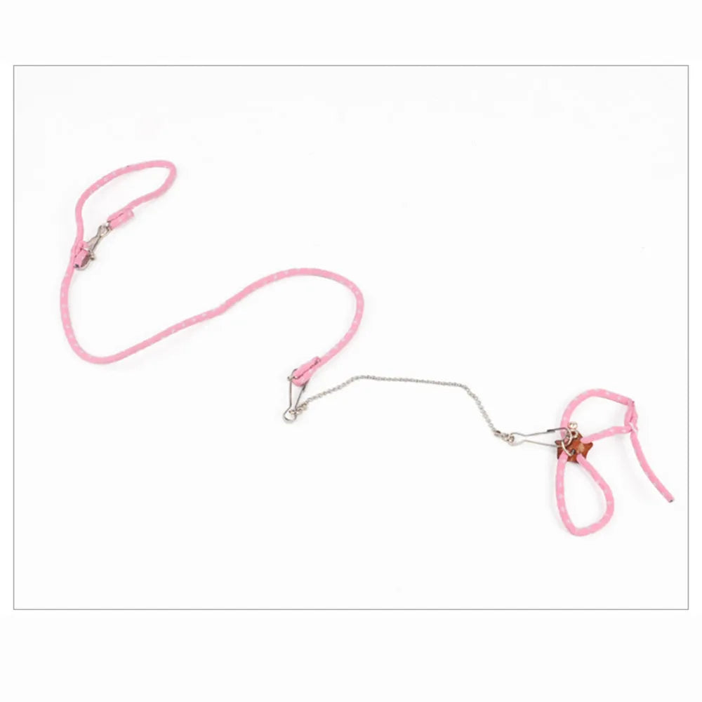 Adjustable Small Pet Harness & Leash Set