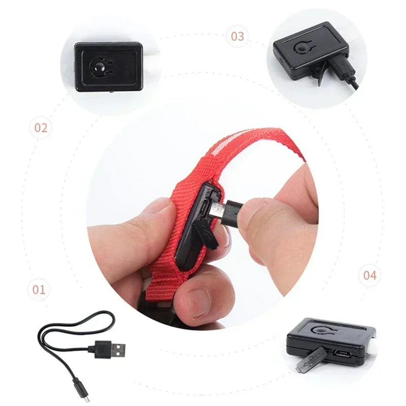 Dog Collar With LED Glowing Adjustable Flashing Rechargea Luminous Collar Night Anti-Lost Dog Light Harness for Small Dog