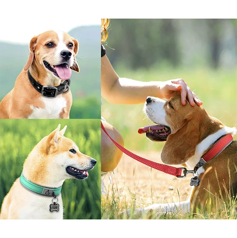 Padded Dog Collars for small Medium large Dogs Reflective Wide Pet Collars Adjustable Heavy Duty Nylon Neoprene Dog Collar