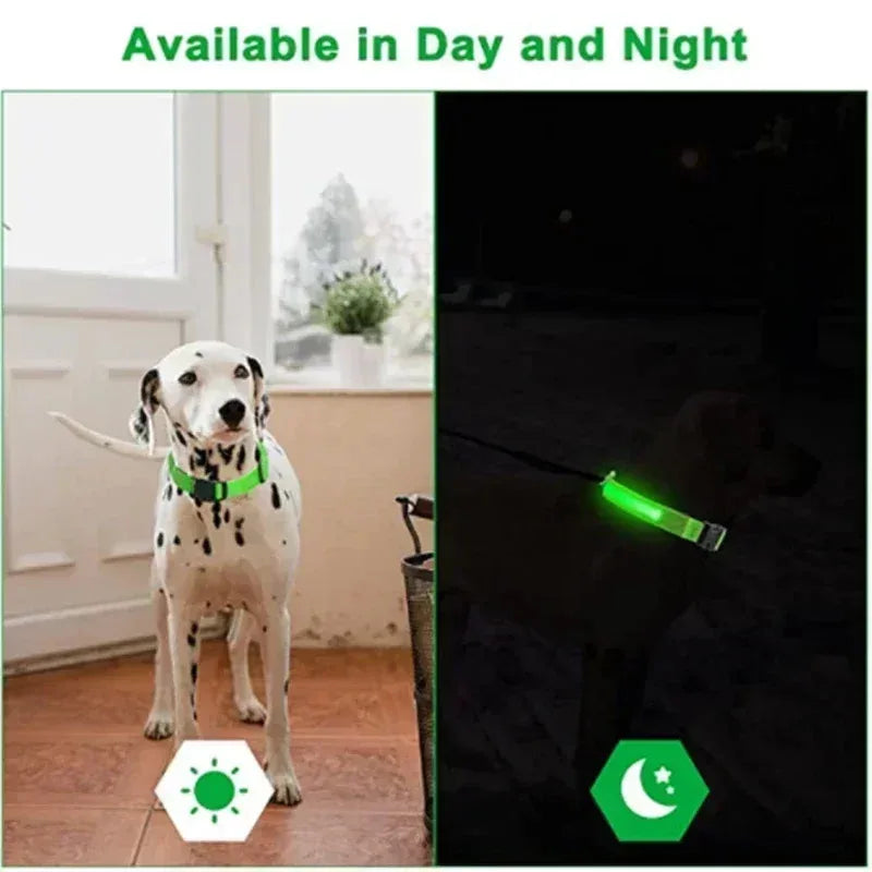 Dog Collar With LED Glowing Adjustable Flashing Rechargea Luminous Collar Night Anti-Lost Dog Light Harness for Small Dog
