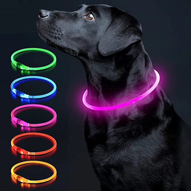 USB Rechargeable LED Luminous Pet Collar on a black dog, showcasing colorful LED light options for nighttime safety.