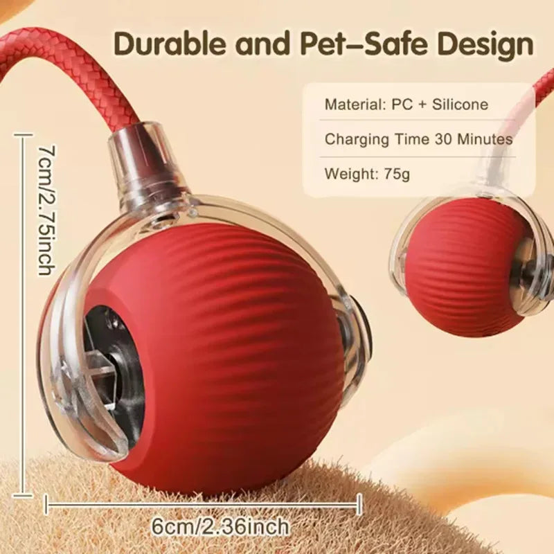 Hot cat toys are automatically teasing cat balls and self-exciting cat sticks and ticks and resistant to wear and bite pet toys