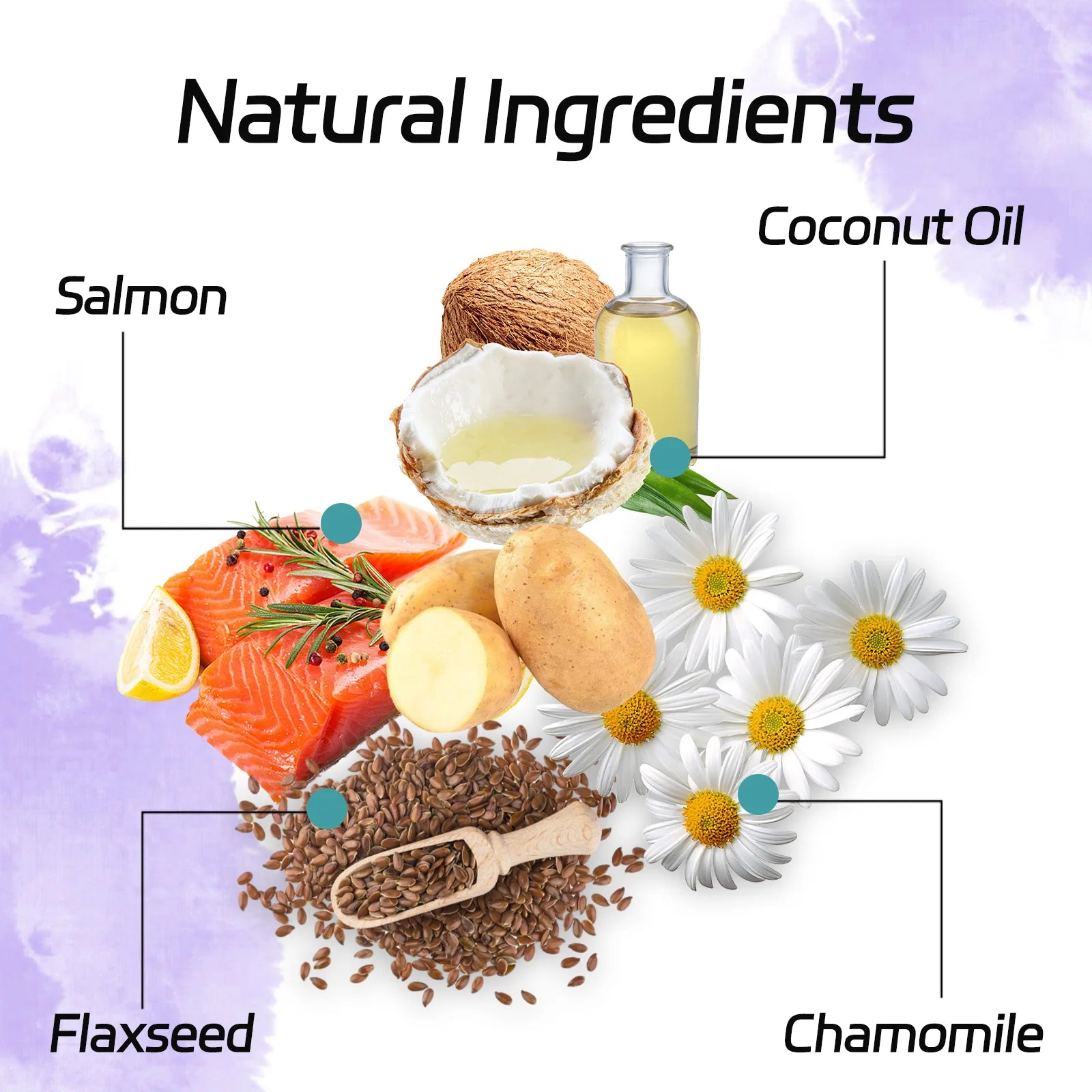 NUTRIDOG Dog Calming Supplement Chews Supports Gut Health Digestive Balance Seasonal Allergy Relief Itchy Skin Relief 120 PCS/Bo