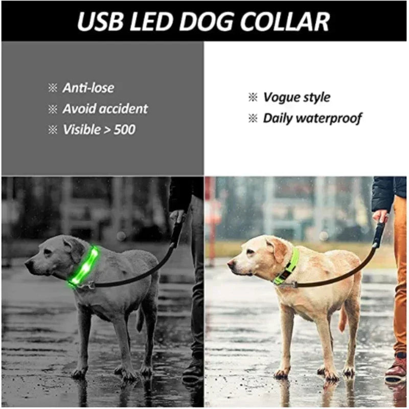 Dog Collar With LED Glowing Adjustable Flashing Rechargea Luminous Collar Night Anti-Lost Dog Light Harness for Small Dog