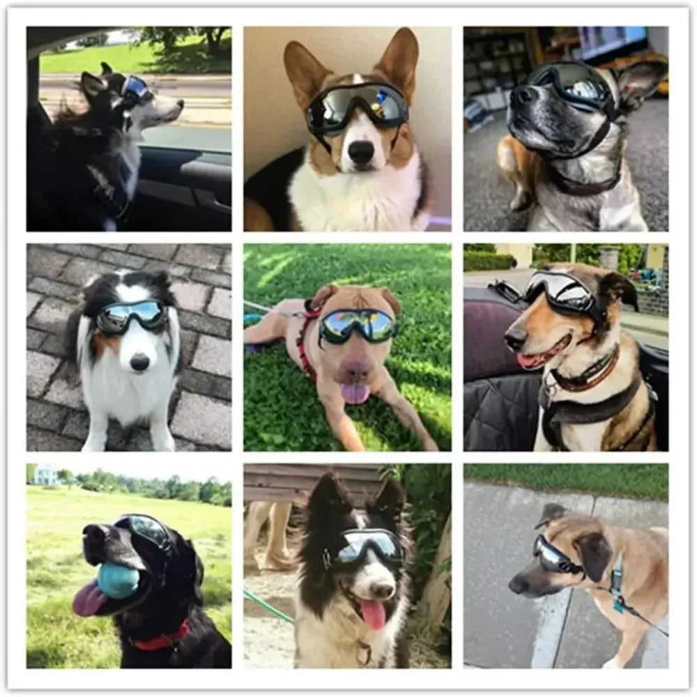 Dog UV Protection Sunglasses for Outdoors
