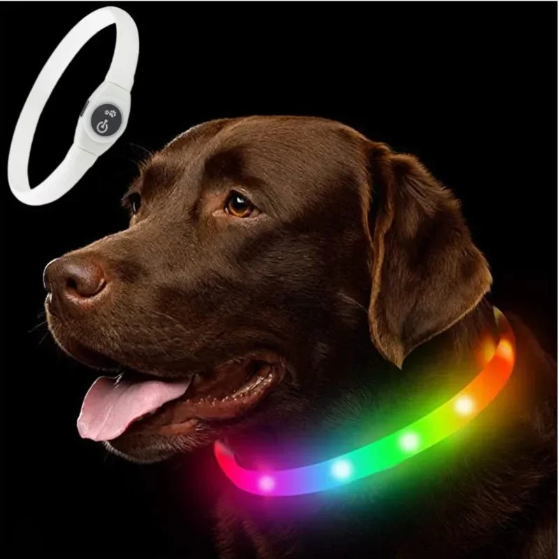Waterproof LED Luminous USB Dog Collar illuminated on a brown dog, showcasing safety and visibility during night walks.
