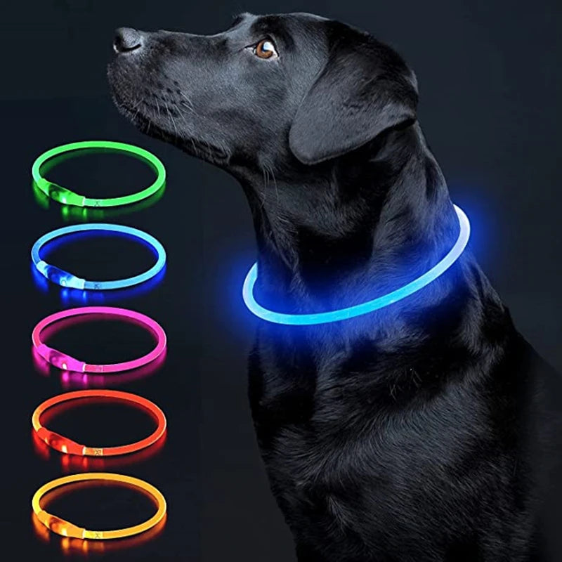 USB Rechargeable LED Luminous Pet Collar displayed on a black dog, showcasing multiple colorful options.