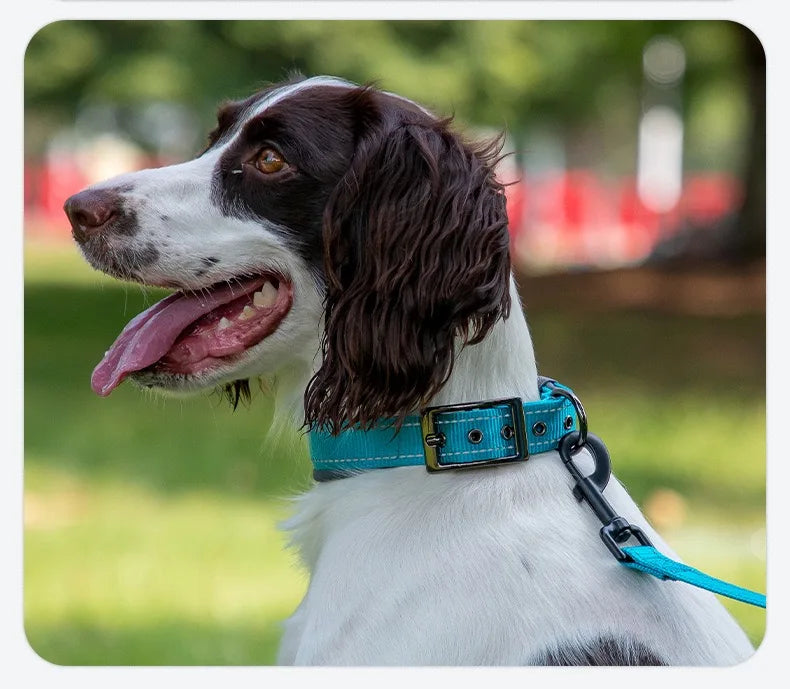 Padded Dog Collars for small Medium large Dogs Reflective Wide Pet Collars Adjustable Heavy Duty Nylon Neoprene Dog Collar