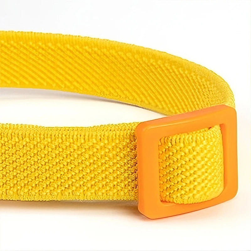 High elasticity Cats Bells Collars Adjustable Dog Leash Pet Collar for Cats and Small Dogs Pet Supplies