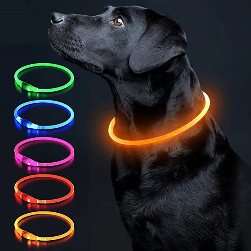 USB Rechargeable LED Luminous Pet Collar on a dog with various color options displayed.