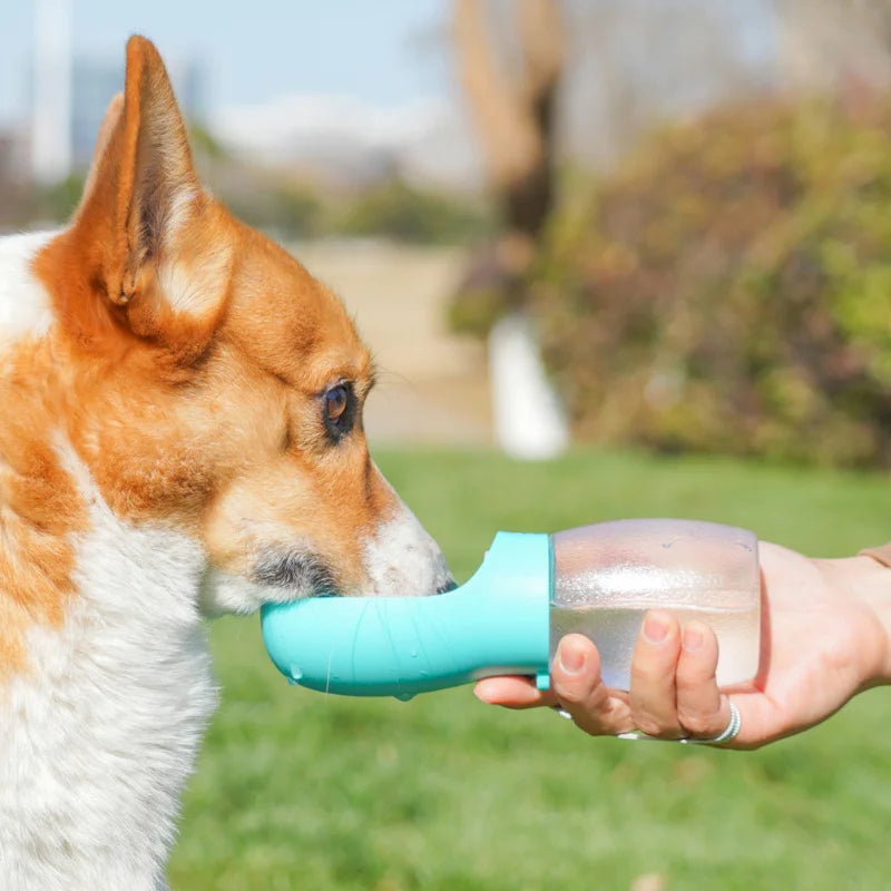 Portable Pet Travel Water Bottle for Outdoors