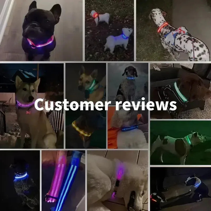 Dog Collar With LED Glowing Adjustable Flashing Rechargea Luminous Collar Night Anti-Lost Dog Light Harness for Small Dog