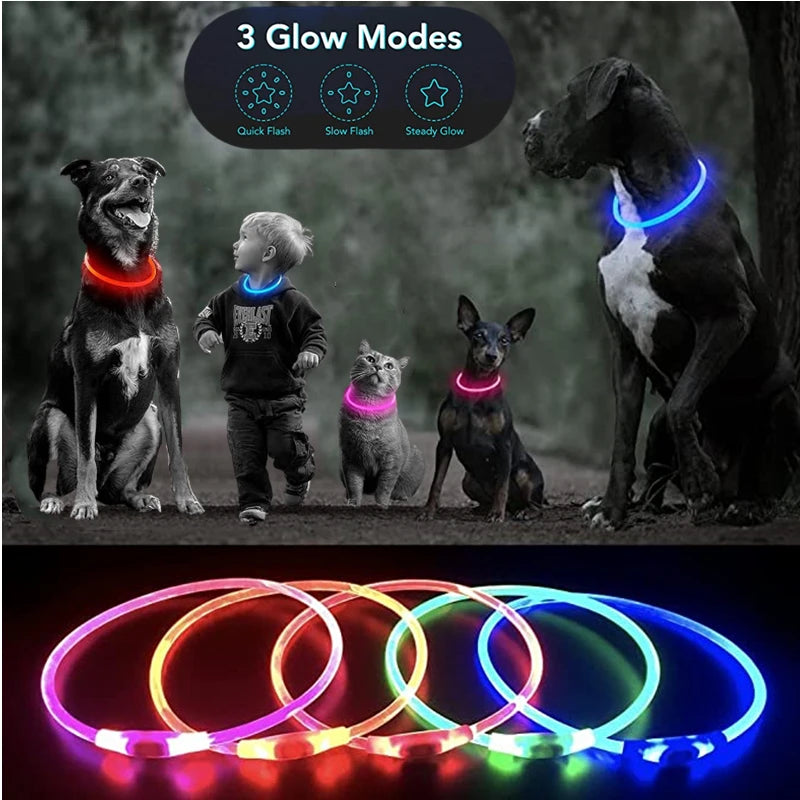 USB Rechargeable LED Luminous Pet Collar in various glow modes, enhancing pet visibility during nighttime walks.