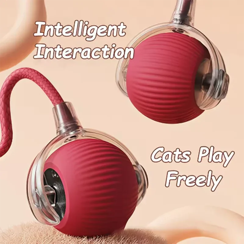 Hot cat toys are automatically teasing cat balls and self-exciting cat sticks and ticks and resistant to wear and bite pet toys