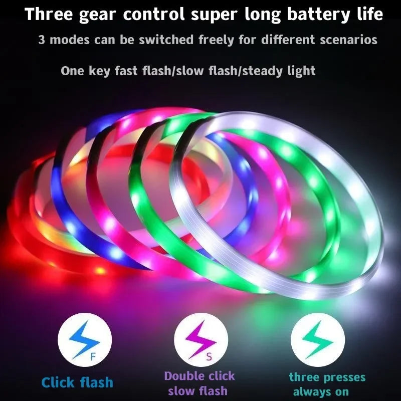 Waterproof LED Luminous USB Dog Collar with three light modes for enhanced visibility and safety during night walks.