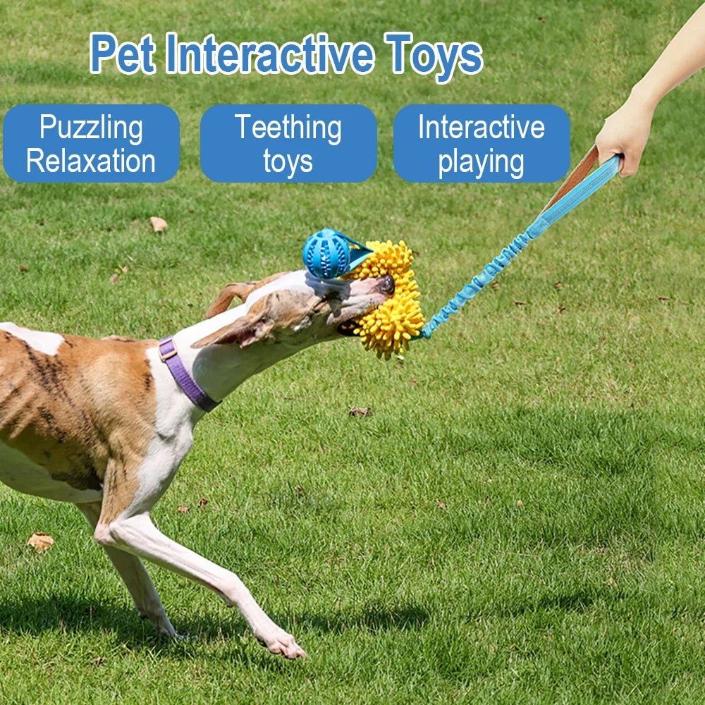 Colorful Bite Rope Wear-resistant Rope Tug Toy for Medium/Large Dogs -Toy with Durable Interactive Hidden Food Toy