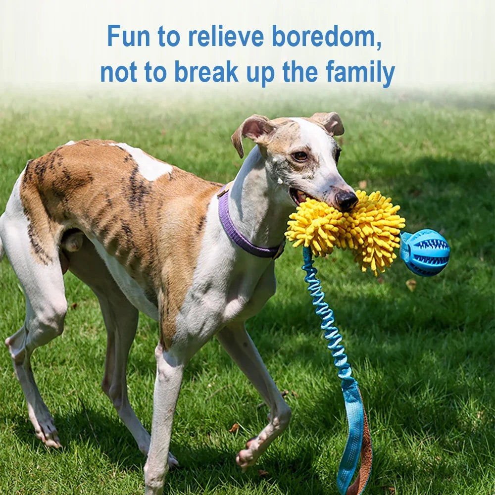 Colorful Bite Rope Wear-resistant Rope Tug Toy for Medium/Large Dogs -Toy with Durable Interactive Hidden Food Toy